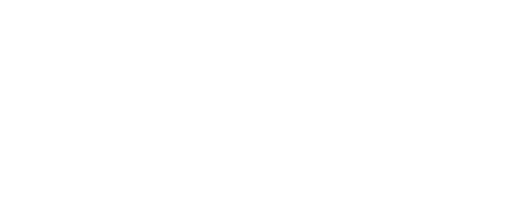 Digital Services Innovation Academy logo