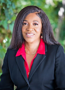 Chinyere ‘Chi’ Emodi's executive photograph